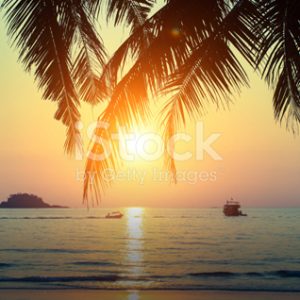 Playlist: Summer Chillout