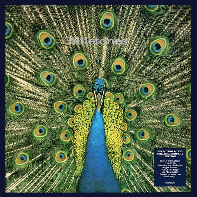 Expecting To Fly – 25th Anniversary Edition (1LP 180g Black Vinyl – Gatefold)