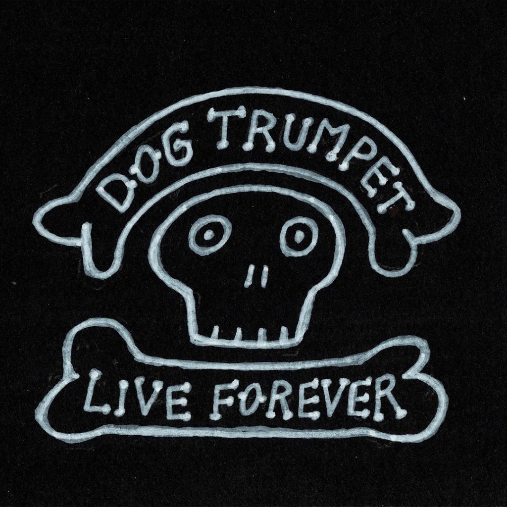 Dog Trumpet – Live Forever Video